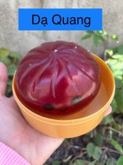 [Đại sỉ Squishy] đồ chơi nhựa silicon mềm dẻo - Bánh bao dạ quang size to