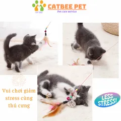 Đồ chơi cần câu mèo gắn lông vũ giảm stress