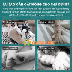 Kéo cắt móng cho chó mèo nhỏ - Cat bee pet - Chăm sóc cắt tỉa móng cho thú cưng