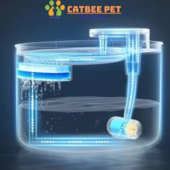 Máy Lọc Nước Pet Water Tự Động Cho Chó Mèo Kèm Lõi Lọc Than Hoạt Tính An Toàn, Dung Tích 2L
