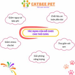 Đồ Chơi Cho Thú Cưng -Bónglồngchuột -Bóng 7màu -Bóng lật đật -Chuột lòxo -Bóngsáng -Cần câu trêu mèo