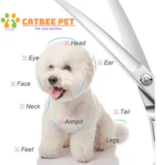 Bộ kéo cắt tỉa lông cho chó mèo (3 kéo, 1 lược) - Dụng cụ làm đẹp cho thú cưng tại nhà