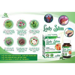 Viên giảm cân LADY SLIM hỗ trợ giảm mỡ CAO CẤP