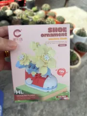 Bộ lắp ráp Hoa Nhựa hình chiếc giày