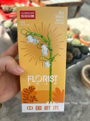 Đồ chơi nhựa Bộ lắp ráp hình hoa