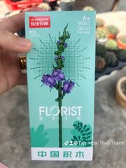 Đồ chơi nhựa Bộ lắp ráp hình hoa