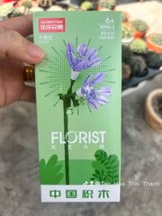 Đồ chơi nhựa Bộ lắp ráp hình hoa