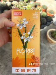 Đồ chơi nhựa Bộ lắp ráp hình hoa