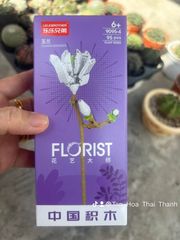 Đồ chơi nhựa Bộ lắp ráp hình hoa