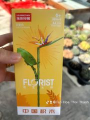 Đồ chơi nhựa Bộ lắp ráp DIY hình hoa