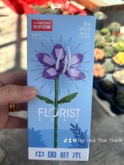 Đồ chơi nhựa Bộ lắp ráp DIY hình hoa