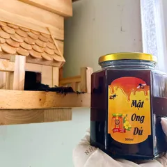 Mật ong dú nguyên chất Không pha đường,Ong lấy mật 100% từ hoa tự nhiên tăng đề kháng,đơn 700k tặng quà trực tiếp