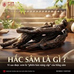 Cao Hắc Sâm JangSeang Hàn Quốc Hộp 6 Lọ x 100g