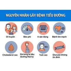 Hiệu Quả Cùng Viên Uống Hỗ Trợ Ổn Định Huyết Áp, Tiểu Đường Và Mỡ Máu Kwangdong Hàn Quốc Hộp 112 Viên