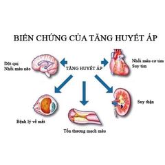 Hiệu Quả Cùng Viên Uống Hỗ Trợ Ổn Định Huyết Áp, Tiểu Đường Và Mỡ Máu Kwangdong Hàn Quốc Hộp 112 Viên