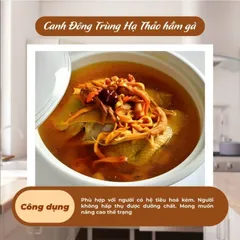 Nấm Đông Trùng Hạ Thảo Sấy Thăng Hoa Hàn Quốc Hộp 100g