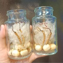 Tổ Yến Tinh Chế Khánh Hòa Nguyên Chất Hộp 100g Tặng Kèm Đường Phèn, Táo Đỏ, Nhân Sâm Hàn Quốc