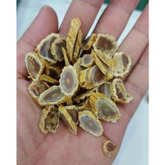 [ Nội Địa ] Thiên Sâm Củ Khô Hàn Quốc Hộp 300g 10 Củ - Korean Tekuk Ginseng