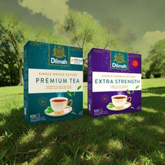 Trà túi lọc Dilmah Extra Strength 100 túi - Hương vị đậm đà từ trà đen nguyên chất, tốt cho sức khỏe và tinh thần