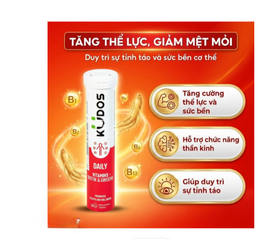 Viên sủi giúp bổ sung các vitamin cho cơ thể Kudos Daily Vitamins Plus Biotin & Ginseng hương cam (20 viên)