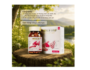 Viên uống cung cấp vitamin và khoáng chất cho phụ nữ chuẩn bị mang thai Premom Gold Jpanwell (60 viên)
