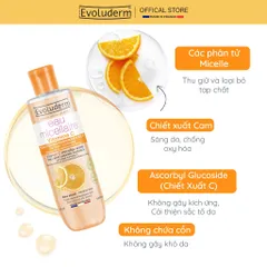 Nước Tẩy Trang không cồn Evoluderm thiên nhiên thuần chay làm sạch sâu, da mịn màng 250ml (QT)
