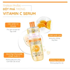 Nước Tẩy Trang không cồn Evoluderm thiên nhiên thuần chay, làm sạch sâu, da mịn màng 500ml (QT)