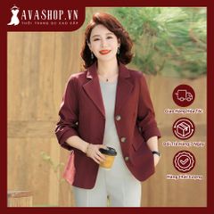 Áo Vest Thời Trang Xuân Thu Trung Niên Lịch Sự AV03