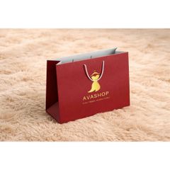 Túi giấy đựng quà tặng Avashop