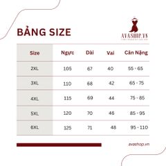 Áo Thun Nữ Béo Thiết Kế Phong Cách Phương Tây SM22