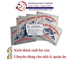 50 miếng keo dính ruồi NAM KIỆT, kích thích ruồi nhặng bu vào, chuyên dùng cho nhà hàng, quán ăn, nhà ở... 769382