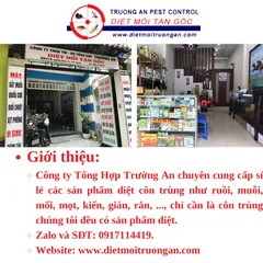 50 miếng keo dính ruồi NAM KIỆT, kích thích ruồi nhặng bu vào, chuyên dùng cho nhà hàng, quán ăn, nhà ở... 769382