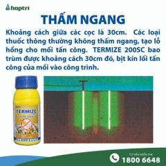 Thuốc diệt mối TERMIZE 200SC, không mùi, diệt cả đàn mối, chuyên dụng cho công trình xây dựng, chai 50ml