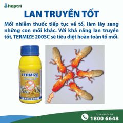 Thuốc diệt mối TERMIZE 200SC, không mùi, diệt cả đàn mối, chuyên dụng cho công trình xây dựng, chai 50ml