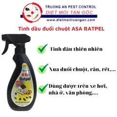 Tinh dầu xua đuổi chuột ASA RATPELL trong nhà cửa, kho hàng, văn phòng,..., chai 300ml, sản phẩm Việt Nam. 769389
