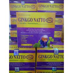 Viên Uống Bổ Não Ginkgo Natto Plus- Hộp 100 Viên Nang Mềm