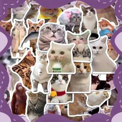 Sticker meme mèo chống nước, decal mèo ngộ nghĩnh dán laptop, điện thoại, vali, trang trí quạt