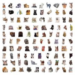 Sticker meme mèo chống nước, decal mèo ngộ nghĩnh dán laptop, điện thoại, vali, trang trí quạt