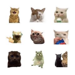Sticker meme mèo chống nước, decal mèo ngộ nghĩnh dán laptop, điện thoại, vali, trang trí quạt