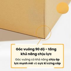 [Hộp chống sốc] combo 20 Cái