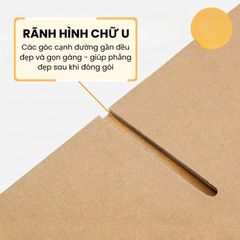 [Hộp chống sốc] combo 20 Cái