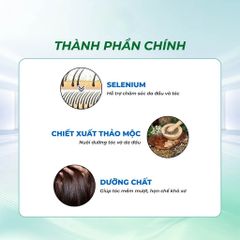 Dầu Gội Thảo Mộc Maigoolé 300ml – Làm Sạch Da Đầu, Chăm Sóc Tóc Mềm Mượt, Hương Thảo Mộc Dịu Nhẹ