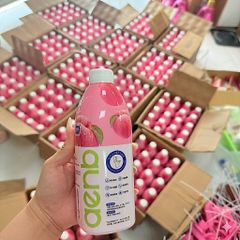 [Combo 2 Chai] Nước Tẩy Bồn Cầu AENB Hương Thơm Mát - Chai Thả Bồn Cầu Khử Mùi Diệt Khuẩn Tự Động Siêu Tiết Kiệm