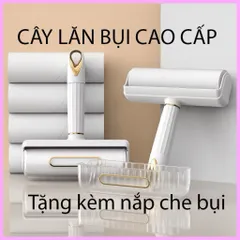 Cây năn bụi quần áo tằnh kèm 9 lõi năn
