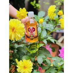 Nước Cắm Hoa Tươi Lâu Owell 350ml - Giữ Hoa Tươi Lâu Hơn