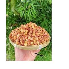 Ngô Nếp Nương Tím Điện Biên Sấy Giòn Gói 500g - Snack Ngon Miệng Từ Thiên Nhiên