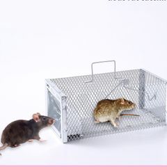 Lồng Bẫy Chuột Bắt Chuột Nhỏ Chuột To Siêu Nhạy Bẫy Chuột Thông Minh 28CM
