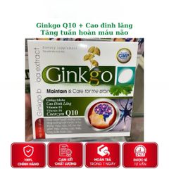 Ginkgo biloba, q10, cao đinh lăng giúp tăng lưu thông máu não, bổ não, cải thiện đau đầu, chóng mặt. H100v
