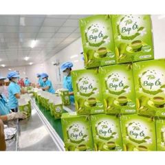 combo 4 hộp trà búp ổi nhà mộc tâm 