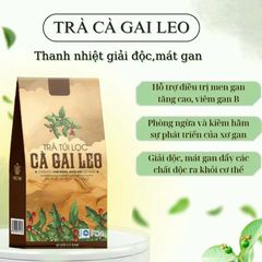trà cà gai leo nhà mộc tâm 